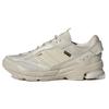 Spiritain 2000 GORE-TEX 'Chalk White Ecru Tint' (Unisex) Chalk White / Footwear White / Ecru Tint Running Shoes HP6717