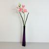 Tak - Schuimfreesia, lichtroze, 59 cm