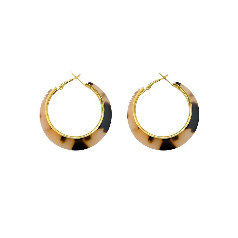 Maillard coffee amber earrings women's light luxury niche stud earrings commuter ear jewelry