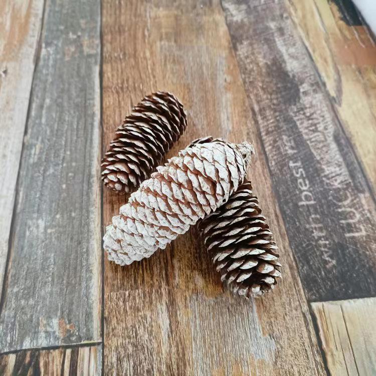 Christmas Pine Cones & Dried Flowers Pack - Eucalyptus, Pine Wood, Cotton, Handmade Photography Props