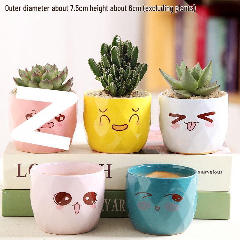 Breathable Ceramic Indoor Succulent Planter Set - Creative Small Flower Pots