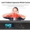 Huachang Vision Digital Feedback Suppressor & Conference Microphone Processor (CN Version)