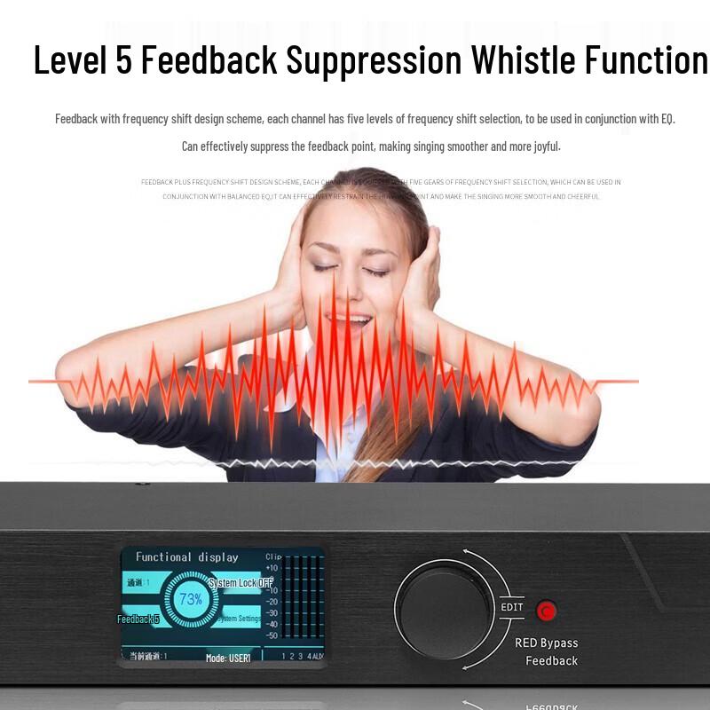 Huachang Vision Digital Feedback Suppressor & Conference Microphone Processor (CN Version)
