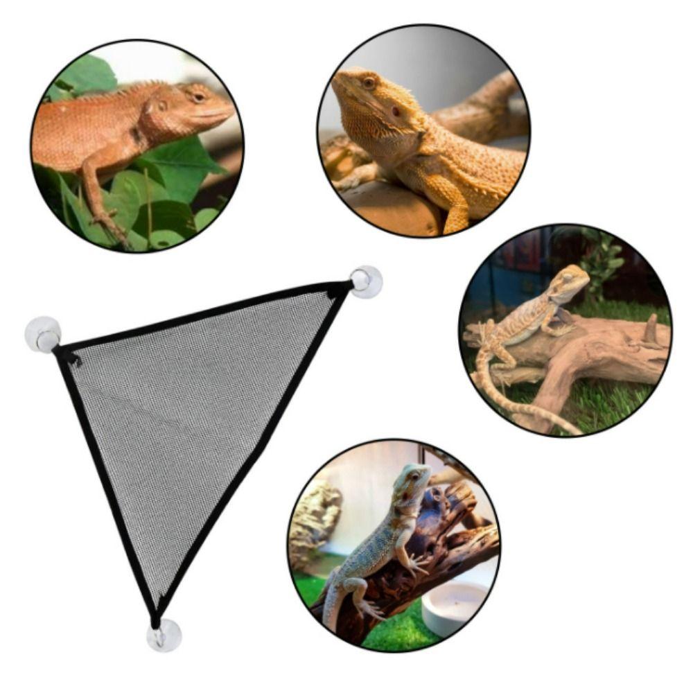 Elastic Triangle Pet Accessories Reptile Habitat Bird Ladder Bearded Dragon Hammock Lizard Bed