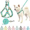 Cute Small Medium Adjustable Heavy Duty No Pull Vest Harness and Leash Set for Adorable Dogs Puppies with Comfortable Design and