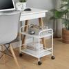 Sunny Point Steel Storage Cart, Under-Desk Storage, Side Storage, Casters with Locking Casters, Kitchen Rack (2 Tiers, White)
