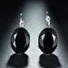 Fashion Women Oval Cubic Zirconia Inlaid Leverback Earrings Party Jewelry Gift