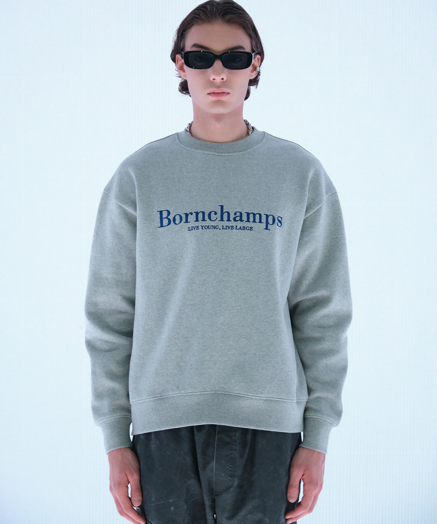 Толстовка с логотипом Bonchams Serif B22Ft07Gy L