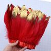 1 Meter Soaked Goose Feather Decorative Ribbon Natural Swan Feather Decorative Wedding Dress Feather Dyeing 15-20Cm