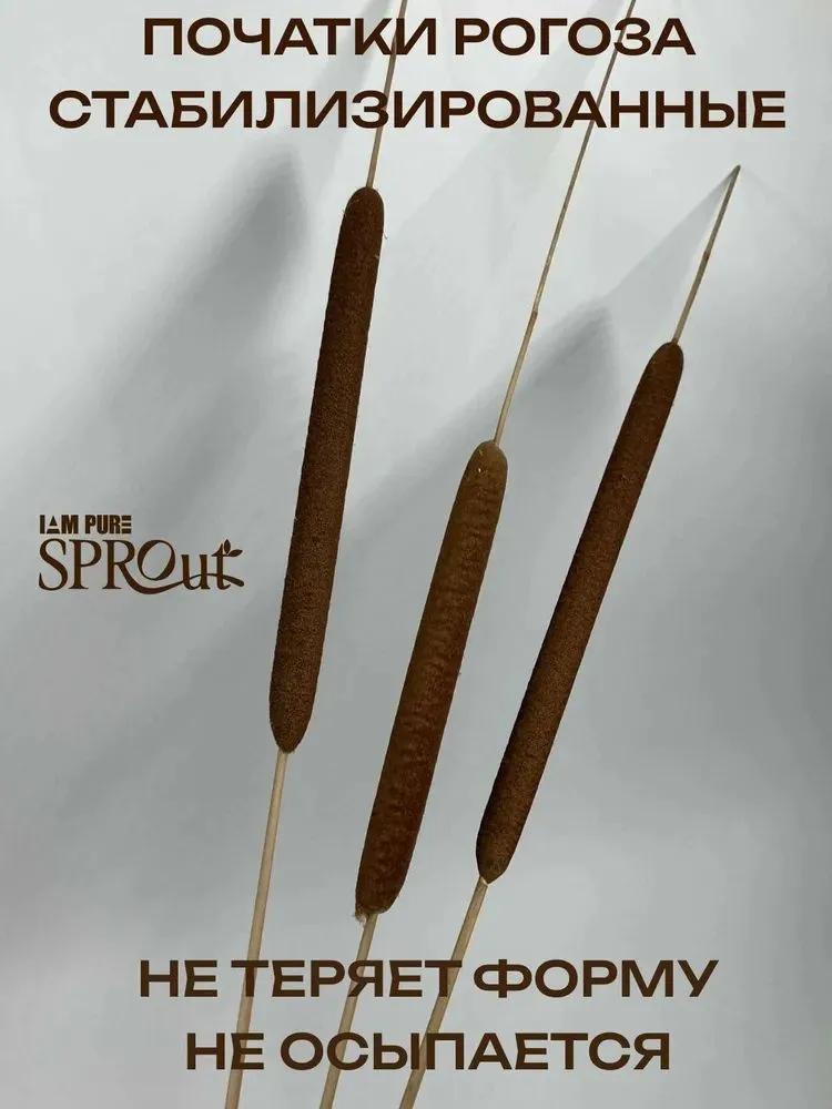 Dried flowers Pampas grass 120 cm 5 pcs copper
