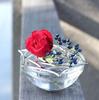 [Nousaku Red Cotton Ribbon Wrapped in Washi Paper] KAGO - Rose - Small, 12cm Diameter Tin Basket, Rose Small