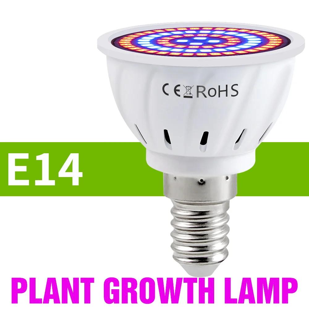 E27 LED Plant Grow Lights GU10 220v Full Spectrum Indoor Hydroponics Flower Seeds Promote Growth Vegetables Cultivation LampE14