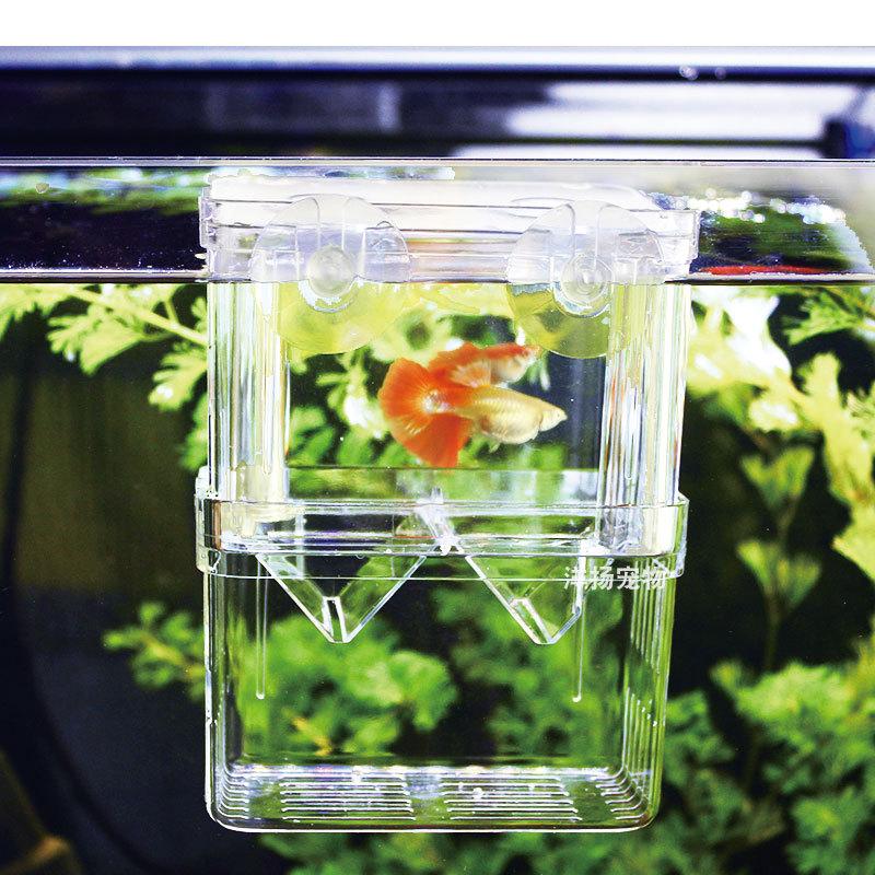 Aquarium Fish Breeder Box Durable Betta Tanks Fishs Breeding Isolation Box Hatching Incubator Box for BabyFish Shrimp SZXZYG01
