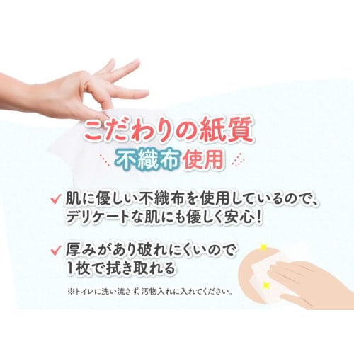 PH-JAPAN-PREMIUM Delicate Zone Soap Feminine Wash 150ml (Powder Mint, 1 bottle + Feminine Wet 1 bottle)