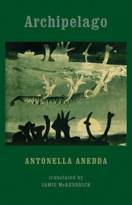 Archipelago by Antonella Anedda Paperback Book 9781780371085