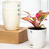 Sett med 4 selvvannende blomsterpotter for planter | Plastblomsterpotter | Plantepotter for hjem, innendørs stue, hage