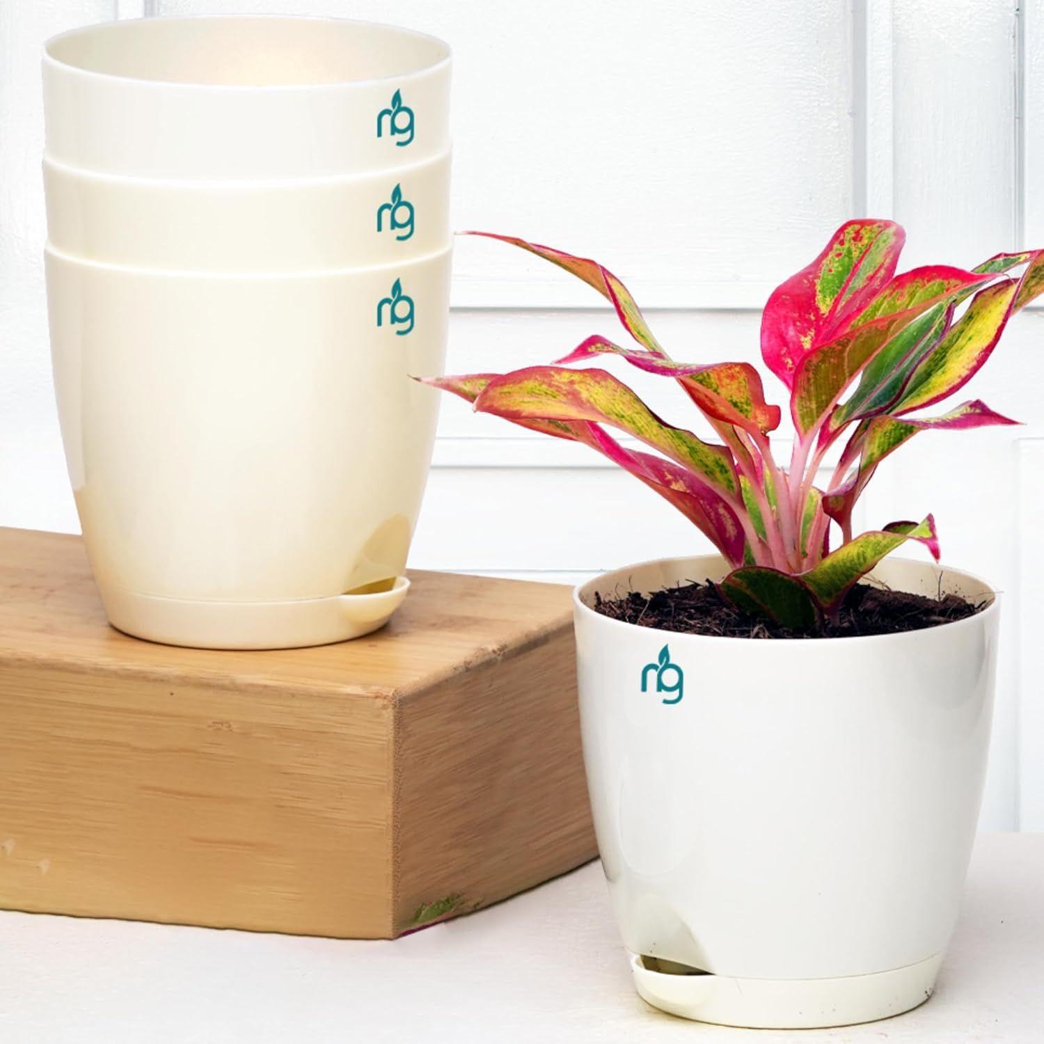 

Набор из 4 самополивающихся цветочных горшков для растений | Пластиковые горшки для растений | Кашпо для дома, гостиной, сада