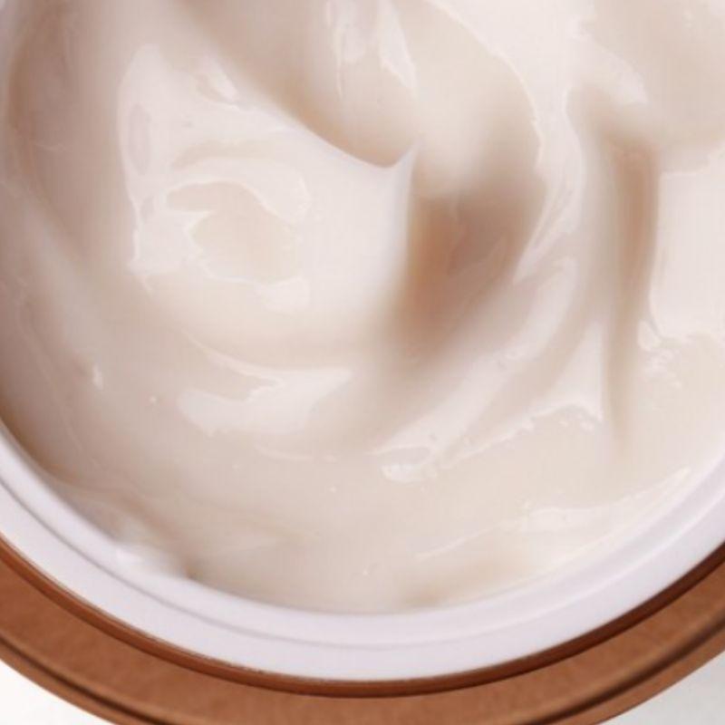 ma:nyo Bifida Biome Concentrate Cream – 50ml