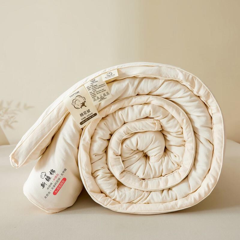 Brangdy Thick Warm All-Season Quilt