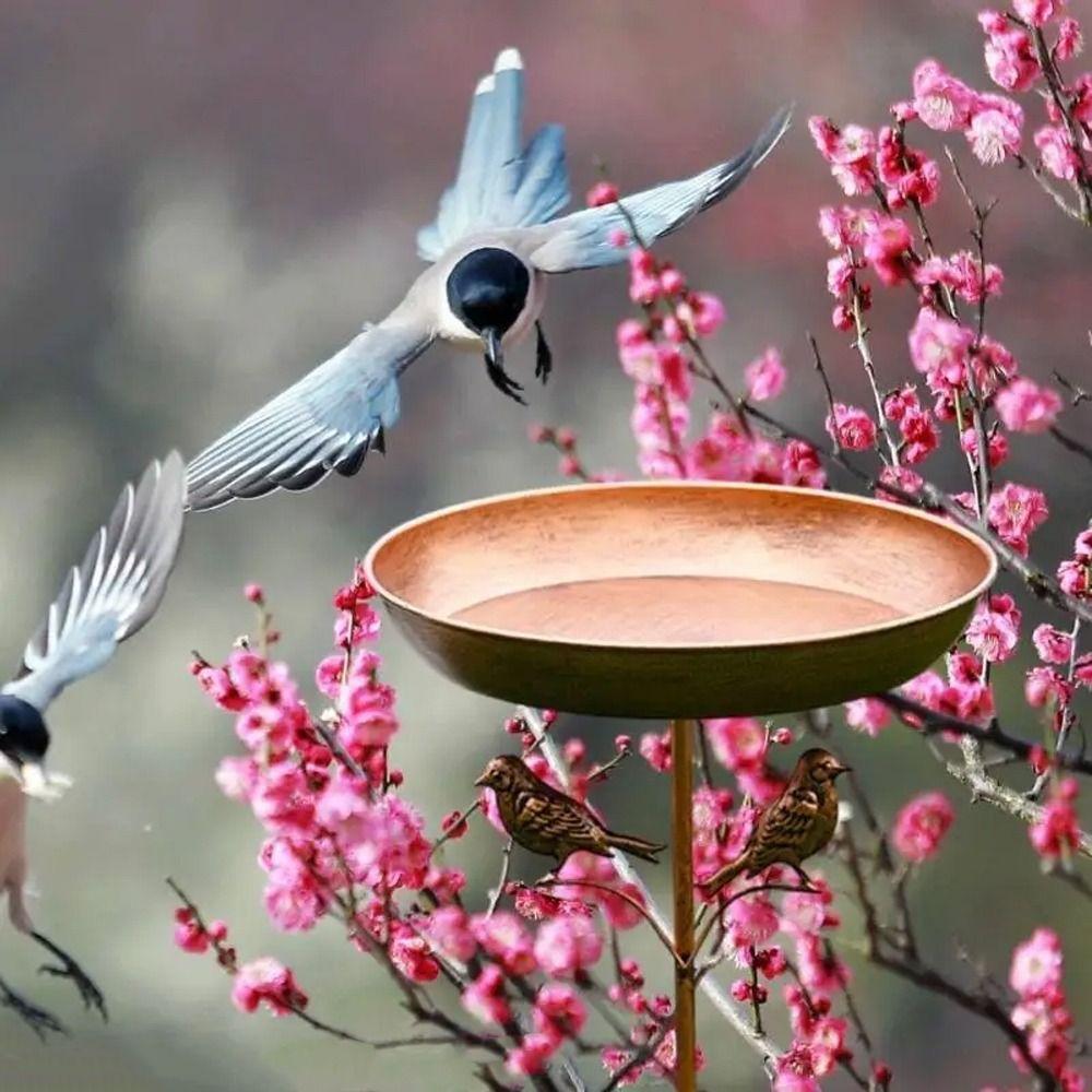 Rostfreier Hoher Vogelfutterspender Bodenstecker Eisen Vogelfutterschale Garten Vogelbad Hof