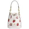 14 Strawberry Print Coated Canvas Bucket Bag Shoulder Crossbody Handbag Mini Women’s Chalk White