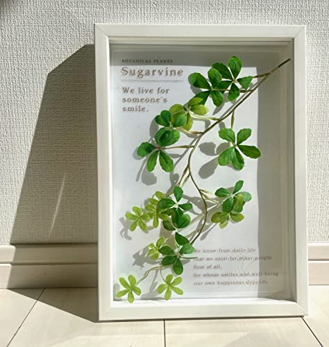 

Handmade Japanese Botanical Frame Sugar Vine / Art Frame, Wall Hanging, Framed, Interior, Wall Art, Landscape, Poster, Art Panel, Living Room, Entry