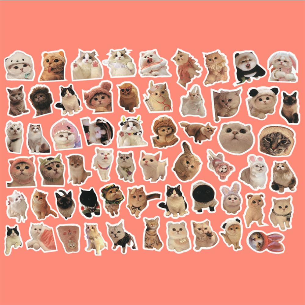 60 Internet Celebrity Cat Stickers: Cute Funny Expressions for Notebooks and Decor.