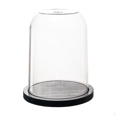 Glaskuppelvitrine für empfindliche Schätze
