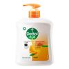 Dettol Antibacterial Hand Wash - Citrus 500g