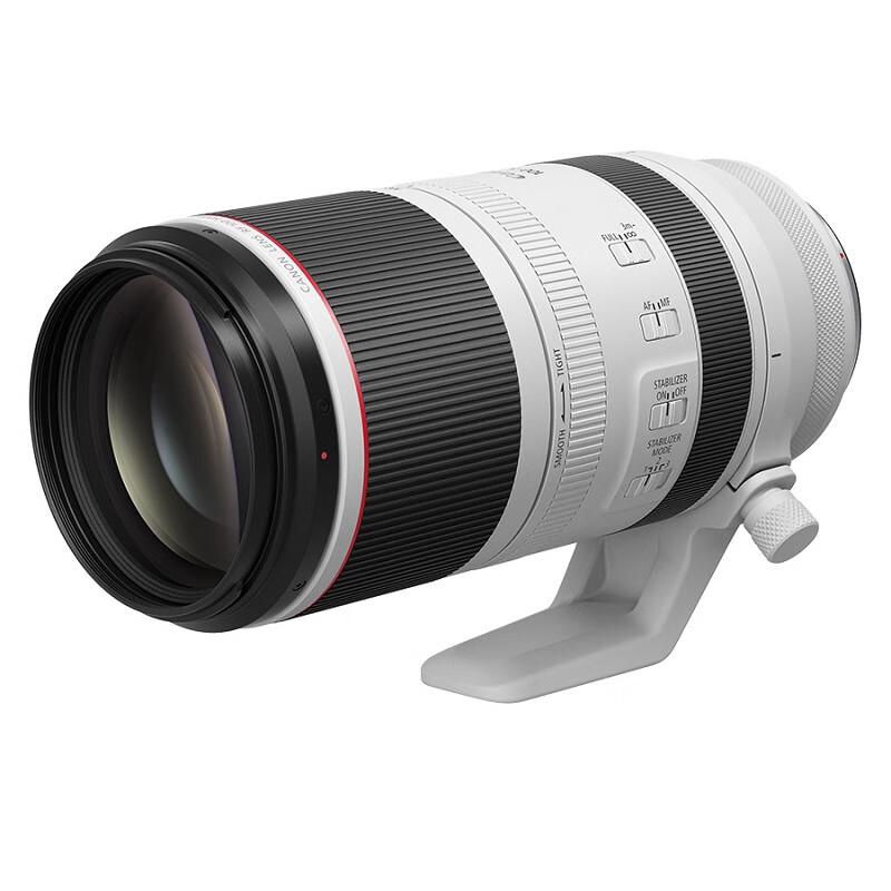 Canon RF 100-500mm F4.5-7.1 L IS USM Lens