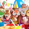 Jungle Zoo Wild Animal Masks: Kindergarten Cartoon Theme Birthday Party Decorations (Set of 20)