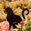 Metal Cat Fence Decoration - Enhance Garden Whimsy for Outdoor Spaces