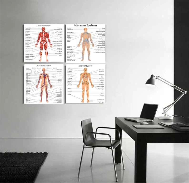 Human Organs Brain Liver Heart Anatomy Poster Print Canvas Painting Human Body Map Medical Classroom Office Room Home Decoration