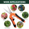 Stainless steel professional gardening trimming set,safety buckle design,anti slip handle,express delivery,flower arrangement