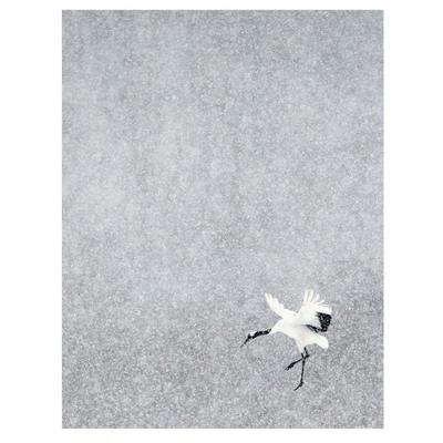 Markus Varesvuo Japanese Crane Print