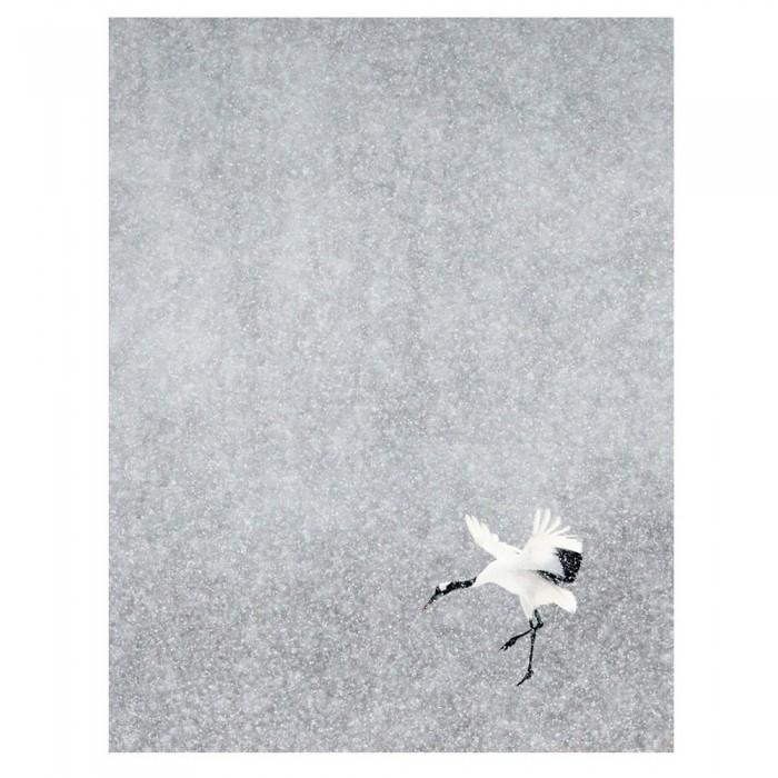 Markus Varesvuo Japanese Crane Print