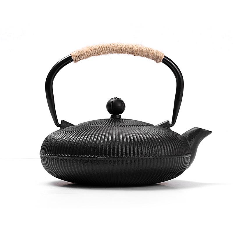 Japanese-Style Hand-Painted Cast Iron Teapot with Gongfu Tea Brewing Set & Handle for Boiling Water