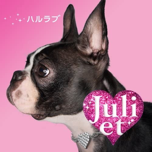 

CD JULIET, MAIKO; HAMI - Haru love UMCK5264 Japan ObiPop Used
