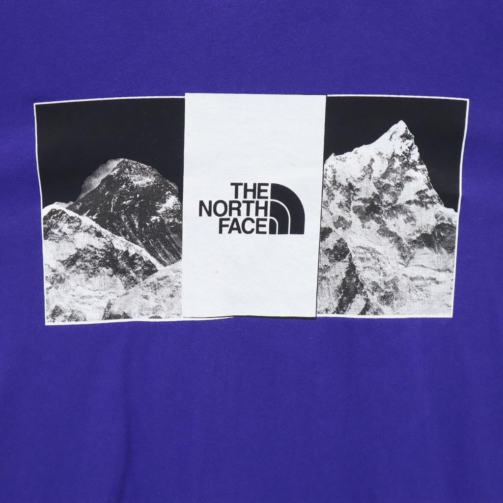 The North Face Long Sleeve T-shirt S Blue Ron T Men's Used