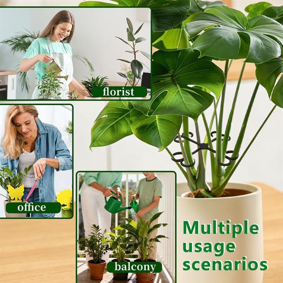 Plant Stem Support Reusable Plant Growth Accessories Climbing Houseplant Stem Holders for Monstera Indoor Plants
