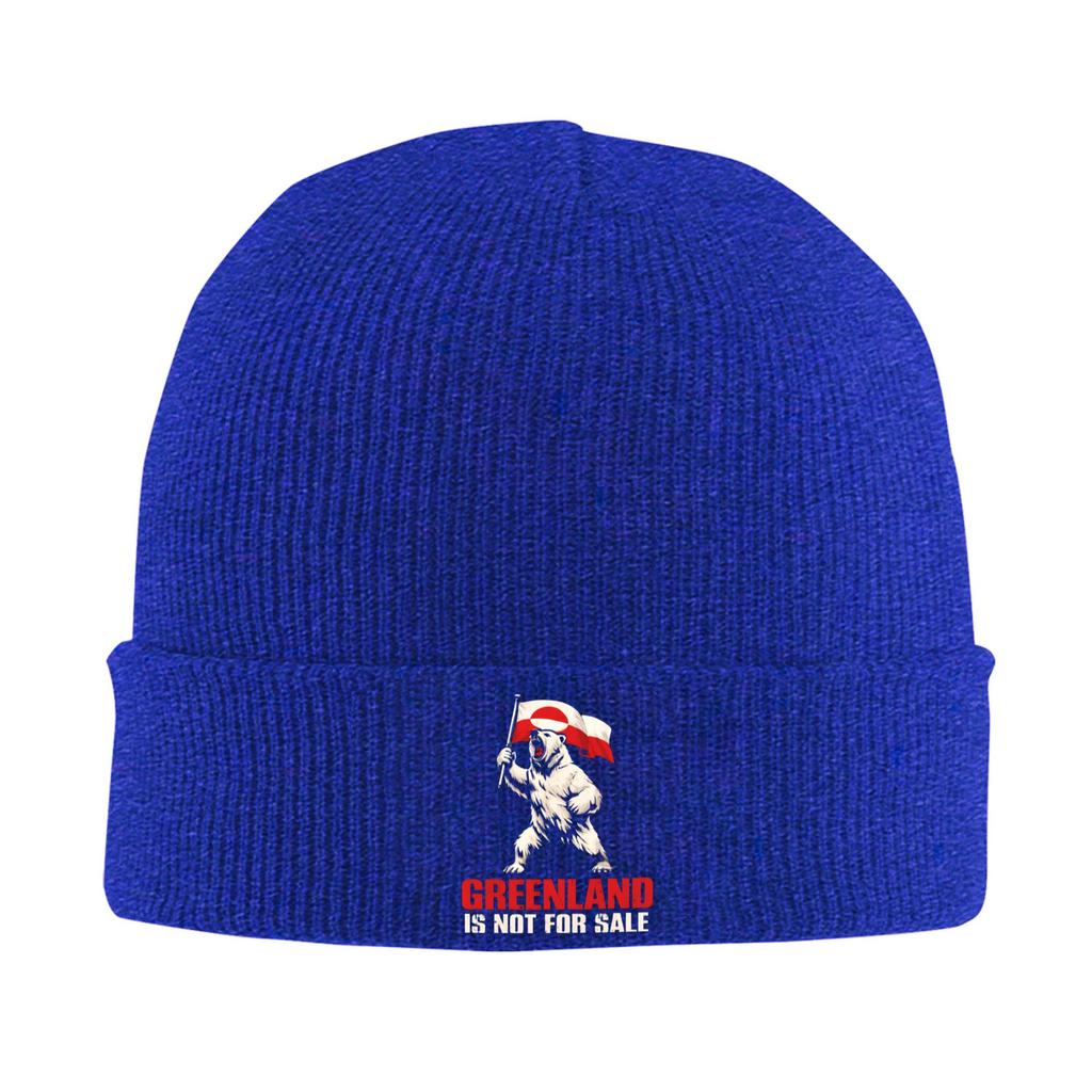 Male Greenland Is Not For Sale Bear With Flag Beanie Hats Street Knitting Hat Spring Hippie Caps Thermal Elastic Bonnet Hats