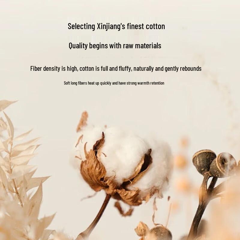 ZiiU Four-Season Xinjiang Cotton Duvet Insert