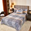 3Pcs Simple Geometric Plaid Bed Sheet Set 100% Cotton Skin-friendly Queen Size Bedding Set Thickened Flat Sheet with Pillowcases