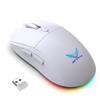 T25 Dual-Mode RGB Wireless Mouse