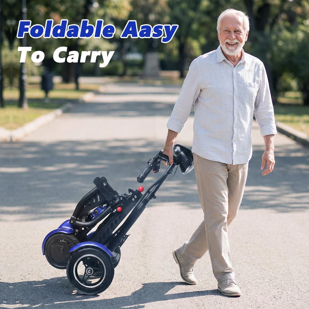 SUNNIGOO L3 Scooter Elettrico a 4 Ruote 500W36V18Ah Scooter Pieghevole Con Funzione di Retromarcia Adatto per Anziani