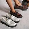 Large Size Spring and Autumn New Loafers Platform Casual Single Shoes Leopard Print Women's Loafers