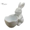 Handmade Craft Bowl 3D Printed Easter Bunny Candy Bowl, Cute Rabbit Holding Figurine, DIY Paintable White Desk Shaped Holder Decor for Living