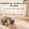 Non-Slip Pet Water Bowl Large Capacity Pet Feeding Dish Slow Feeder Bowl Small Dog