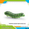 Gold Swallowtail, Geometer Moth, and Beetle Larva Toys - Cross-Border Science & Education Models for Children