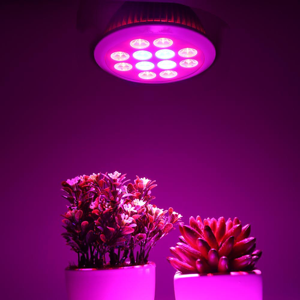 Lampa LED do uprawy E27 36W do sadzonek, owoców, warzyw, sukulentów i kwiatów w pomieszczeniach